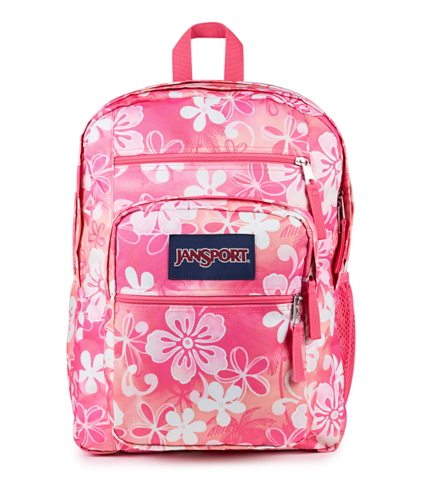 Big Student - Image 2