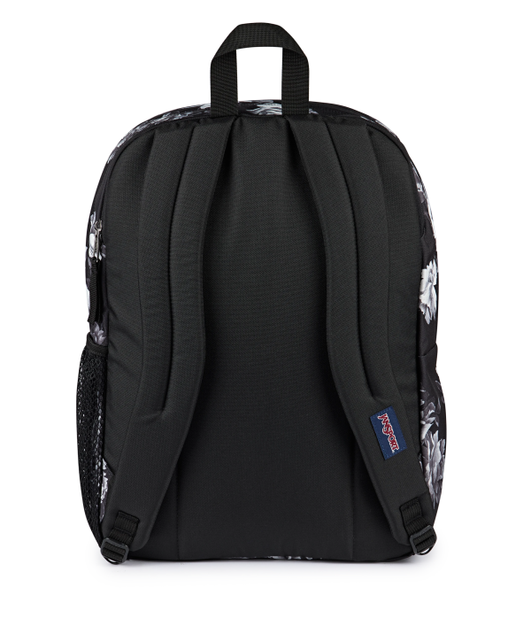Big Student - Image 6