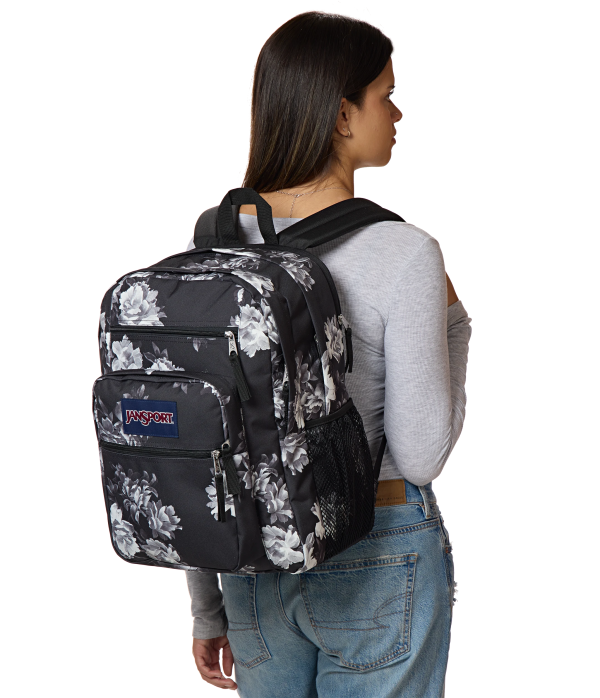 Big Student - Image 4