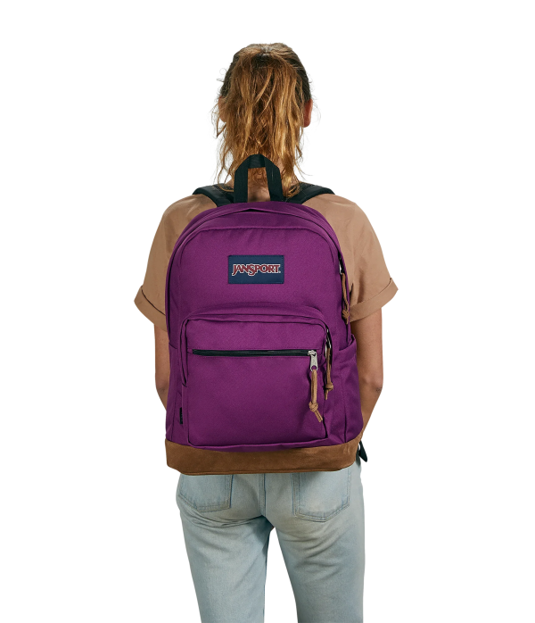 Right Pack - Image 61