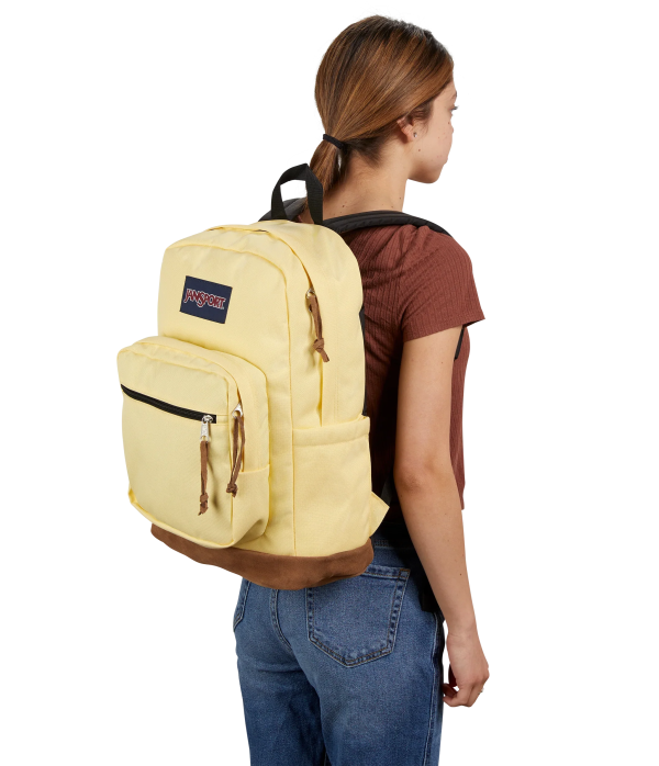 Right Pack - Image 71