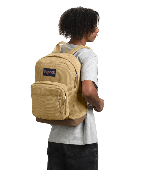 Right Pack - Image 77